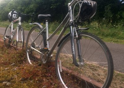 Athlone Mullingar Greenway