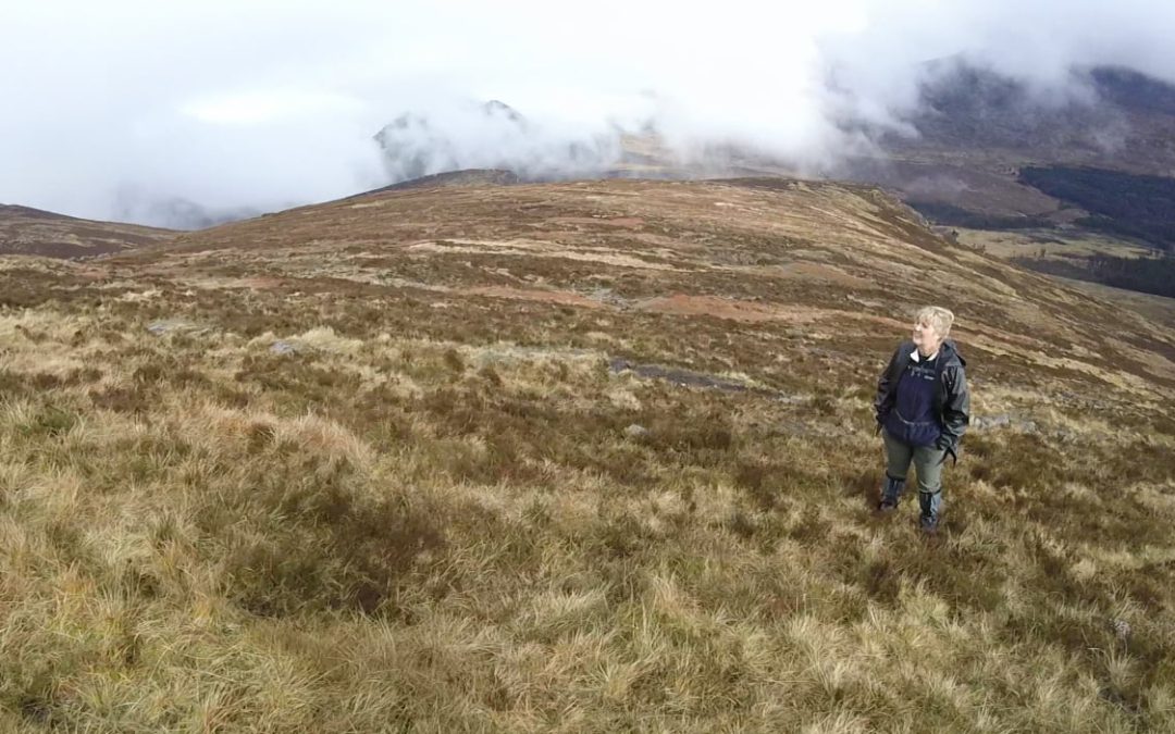 Slieve Binnian – Silent Valley – Mourne Mountains