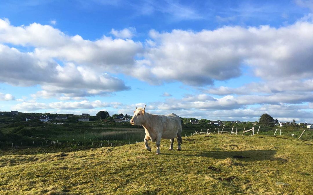 Tra Salin Beach, Co Galway