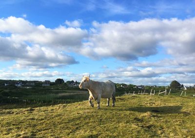 Tra Salin - A Trip to the Beach