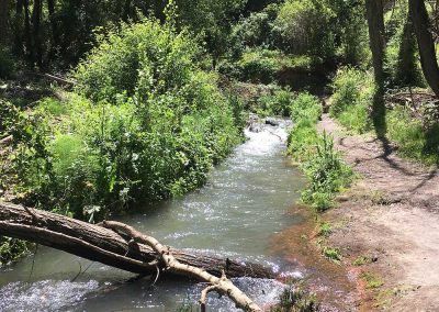 Hanging Bridges of Los Cahorros Monachil