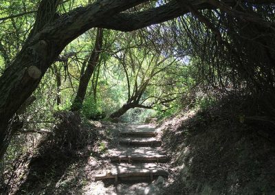 Hanging Bridges of Los Cahorros Monachil