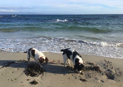 Tra Salin - A Trip to the Beach