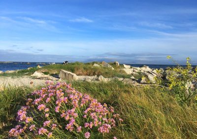 Tra Salin - A Trip to the Beach