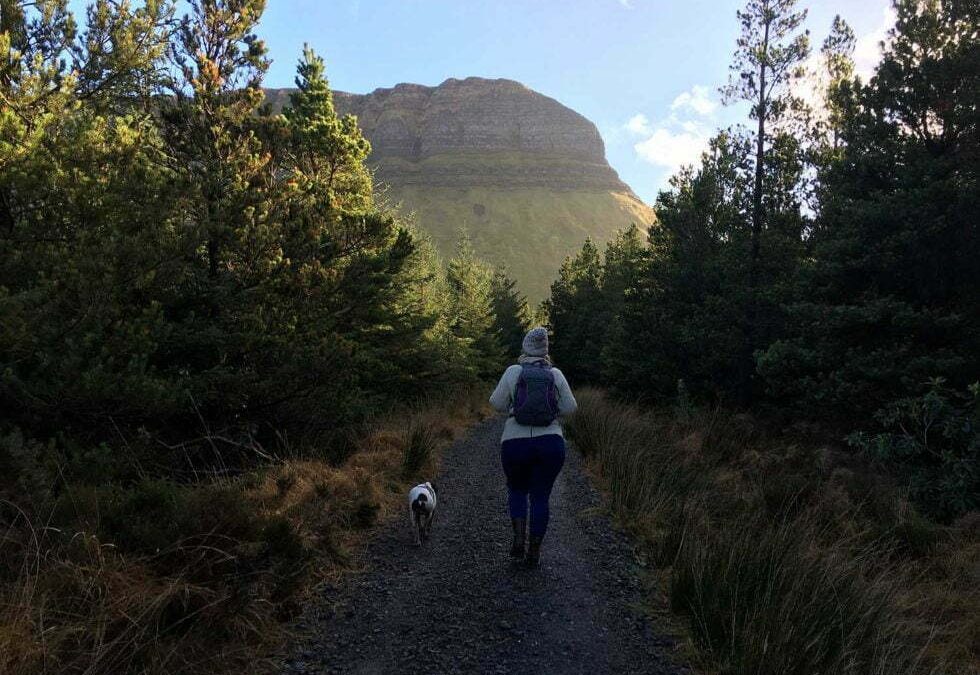 Benbulben Forest Walk & Trip to Strandhill