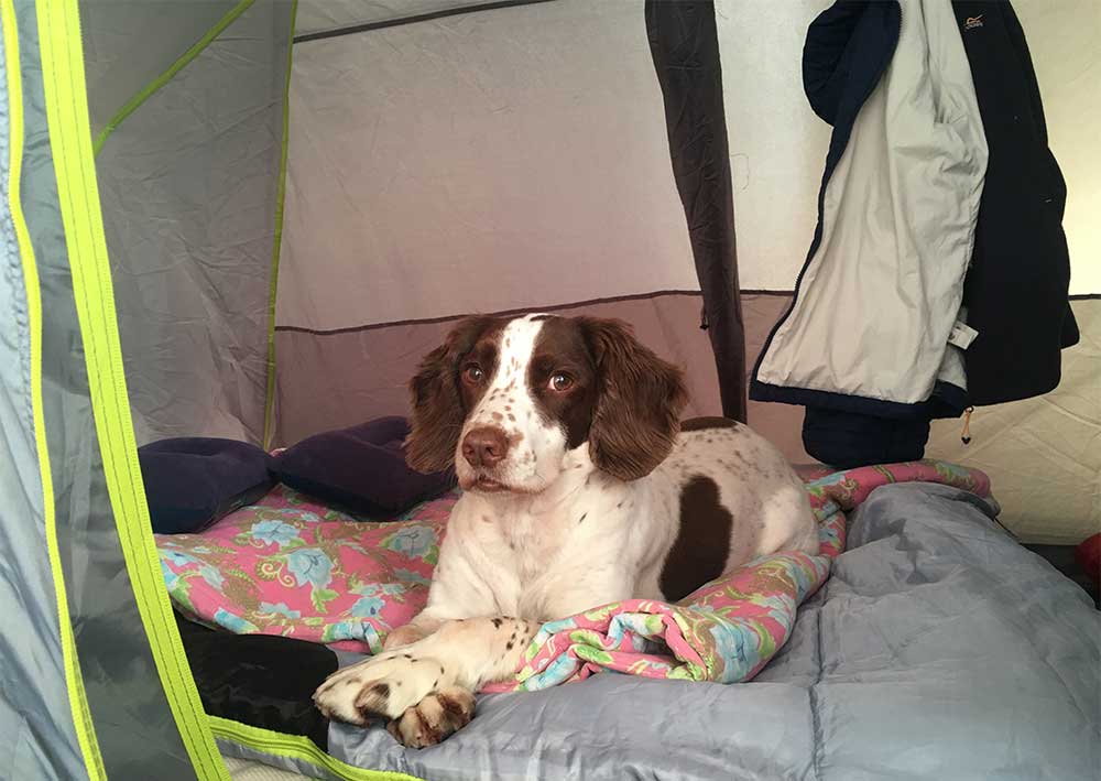 Caceres-camping