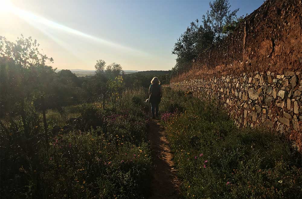 Caceres-walk