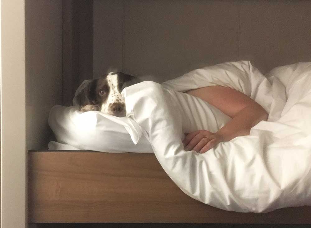 Sleeps