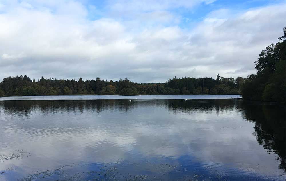 hillsborough-lake-2