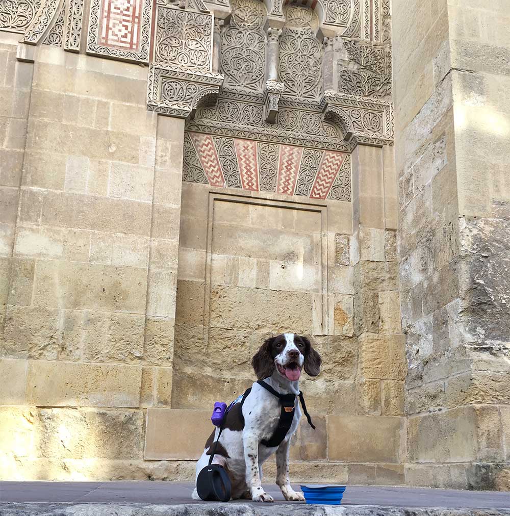 missy-in-cordoba